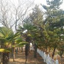 세구지공원 이미지