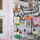 개인생활펫 이미지