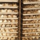 노루농장 이미지