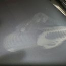 동진광택 이미지