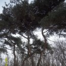 당산농원 이미지