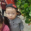 더플로우어린이집 이미지