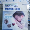 크린토피아서구퀸스 이미지
