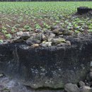 동일리 지석묘 4호 이미지