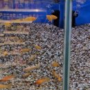 둔산이마트 이미지