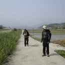 보성강5 이미지