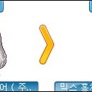 레드메이플 이미지