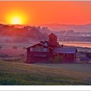 안성목장 이미지