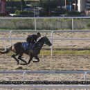 경마공원 이미지