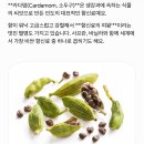 안산인도커리, 처음 경험한 인도요리 긴자 인도 레스토랑 솔직후기