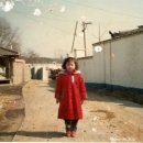 낙생초등학교 이미지