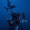 위드메딕 | 코리아컵 2025 세이프티 다녀온 후기 : 프리다이빙 배우고 프리다이빙 대회 참여