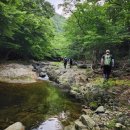 내연산 뒷골~덕골 산행 후기 | 포항 숨은 계곡과 폭포를 찾아가는 11km 계곡 종주