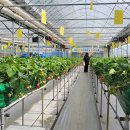 제1 농장 이미지