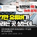 모두의부동산 유튜버 컨설팅받고 1억 날렸다고?(중산5단지,비전 은행)