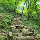 제 441회 정기산행 장안산~영취산🌲 이미지