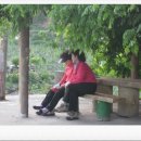 삼삼마을 이미지