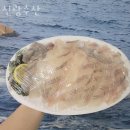 성남동횟집 신광수산 가격 위치 영업시간