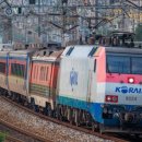 구로-구로-구로-1221 이미지