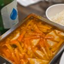 핑구펫 | 260519 - 260531 5월말
