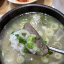 개미짬뽕