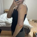 대구 반월당 본식전 팔무한람스 후기