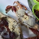 안면도수산시장 이미지