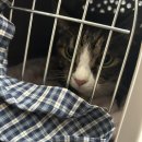 창원메디컬동물병원 이미지