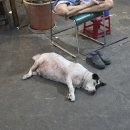 호치민_이국적인 식재료와 여행 기념 과자는 &#34;타카시마야&#34;