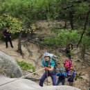 ＜제1,328차＞♡부산 뿌리산악회 산행 앨범 공지--충북 영동군 양산면. 천태산(714.7m). 2024.10.06. 이미지