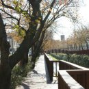 여좌천거리 이미지