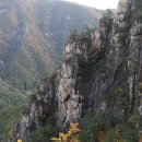 무릉계곡힐링캠프장 이미지