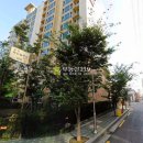 월정로7길 이미지