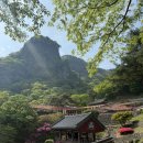 심리극 속 나를 찾는 여행 : 나를 또 다시 외치다 | 나를 위한 행복 여행! 연휴끼고 다녀온 주말 1박2일 청량사 템플스테이 후기