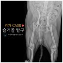 서창사랑동물의료센터 이미지