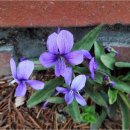 햇살좋은창 이미지