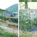 갈전농장 이미지