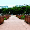 양산호수공원 이미지