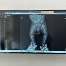 김정렬키본정형외과마취통증의학과의원 이미지