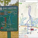 초례산 숲속 힐링로드 이미지