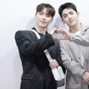 디노 카카오 검색결과