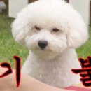 드래곤하우스