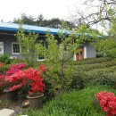 풀천지농장 이미지