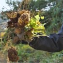 부자농장(정읍) 이미지