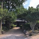 고 김양제 고택 이미지