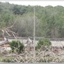 두류1리 이미지