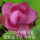 염화실 TV 4주년 개국일을 축하드립니다 이미지