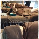 표선 애인 이미지