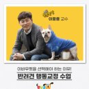 아로마테라피3급자격증 이미지