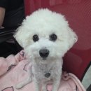 알또 | 5~6월결산 한거도없는데 상반기종료라고?